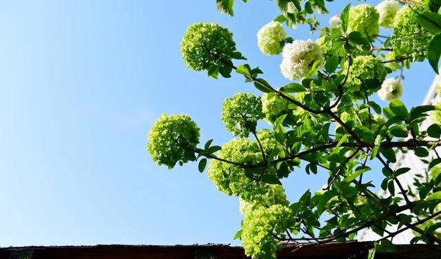 1630765259855543.jpg 1630765259855543.jpg