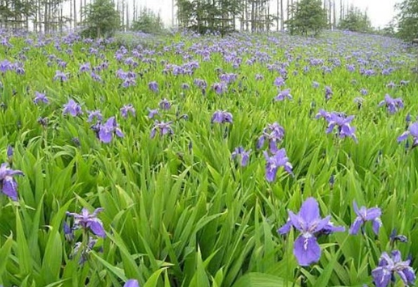 1630842788452735.jpg 1630842788452735.jpg