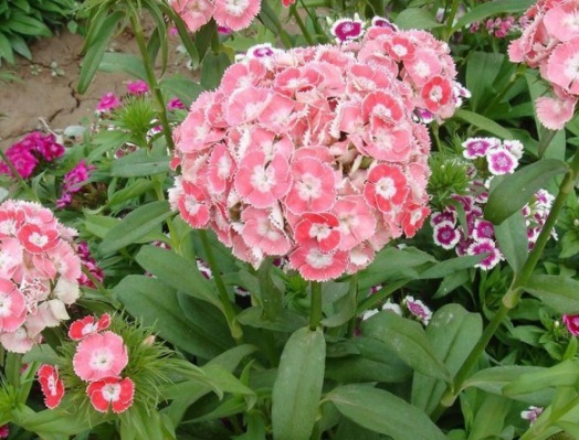 1630908998264049.jpg image.jpg