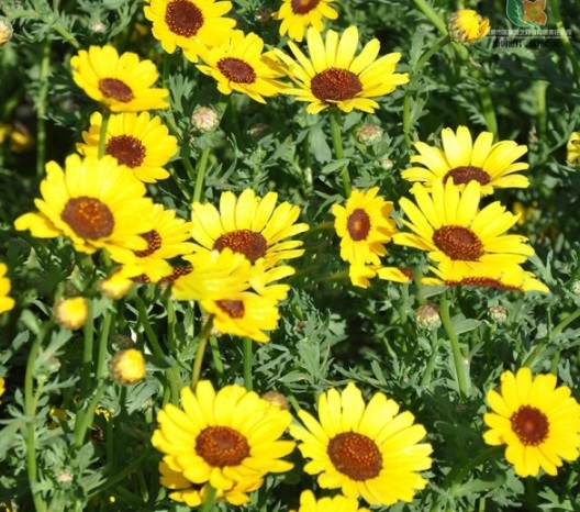 1630909704811720.jpg image.jpg