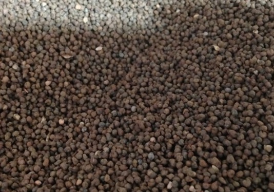 1630910154345656.jpg image.jpg