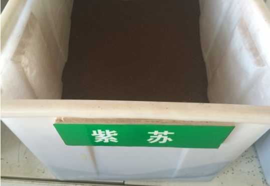 1630910483795559.jpg image.jpg