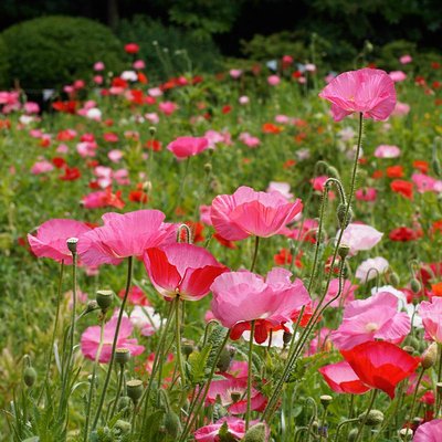 1630910966712660.jpg 1630910966712660.jpg