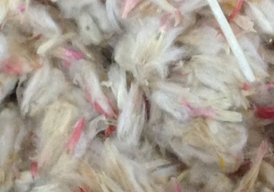 1630911002438168.jpg image.jpg