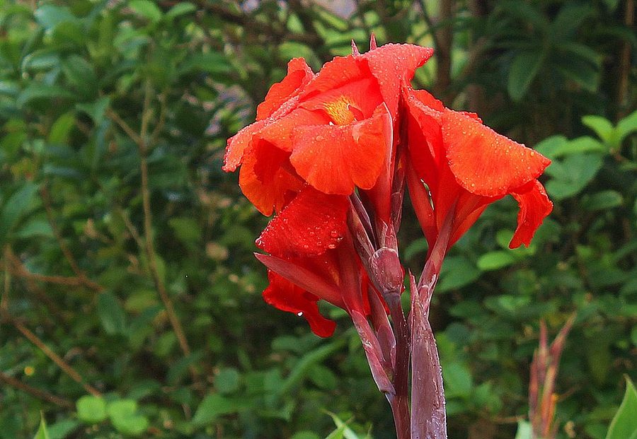 1630912009198597.jpg 1630912009198597.jpg