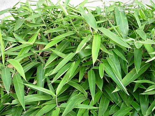 1630912646698691.jpg 1630912646698691.jpg