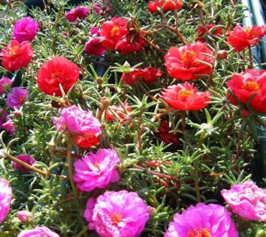 1630917358659174.jpg image.jpg