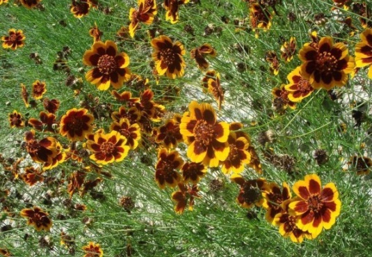 1630918040117561.jpg image.jpg