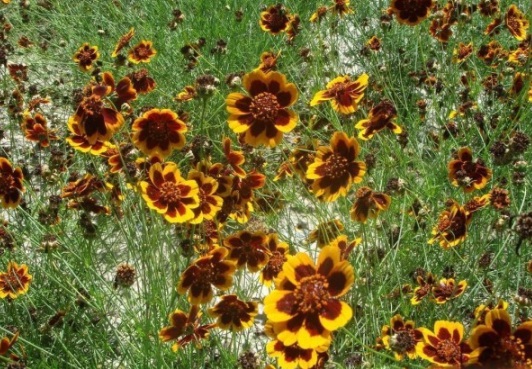 1630918051153523.jpg image.jpg