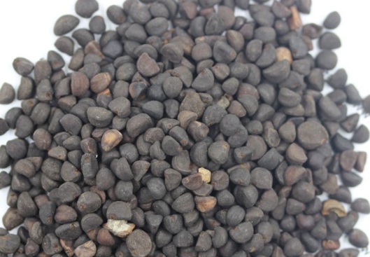 1630919391191435.jpg image.jpg