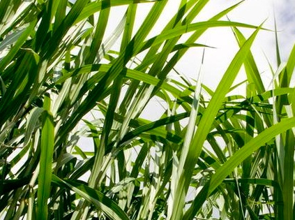 1630921289116054.jpg 1630921289116054.jpg