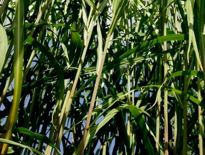 1630921297197250.jpg 1630921297197250.jpg