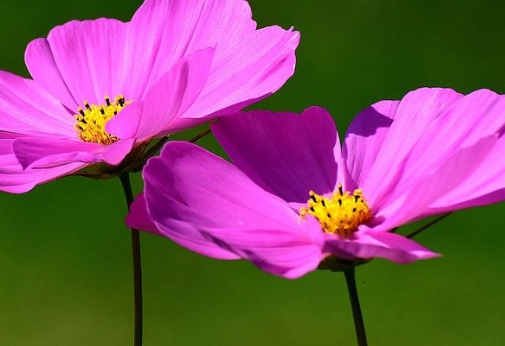 1630921509643527.jpg image.jpg