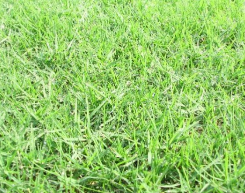 1630922078620652.jpg 1630922078620652.jpg