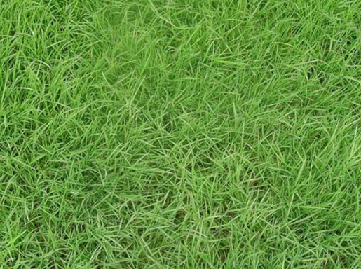 1630922086830185.jpg image.jpg