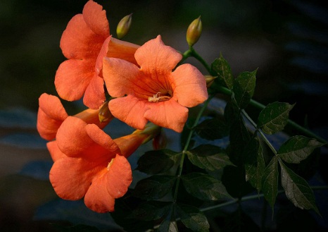 1630922505139987.jpg 1630922505139987.jpg