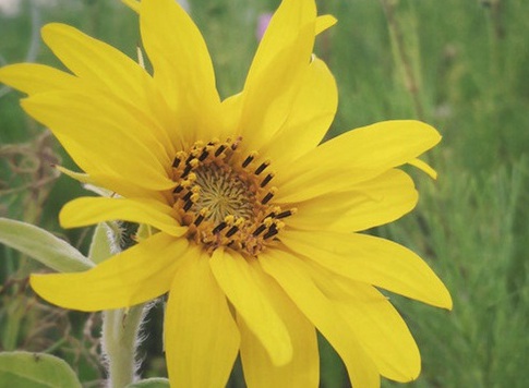 1630922563869020.jpg 1630922563869020.jpg