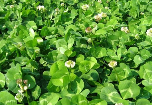 1630922887518819.jpg 1630922887518819.jpg