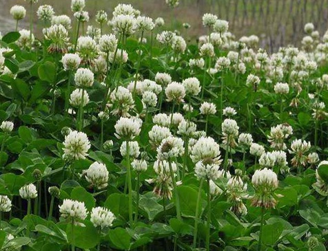 1630922894108007.jpg 1630922894108007.jpg