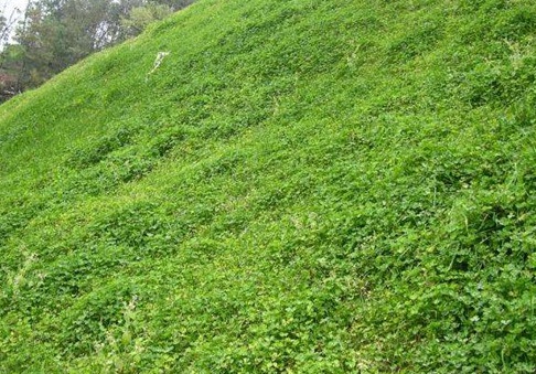 1630922901479259.jpg 1630922901479259.jpg