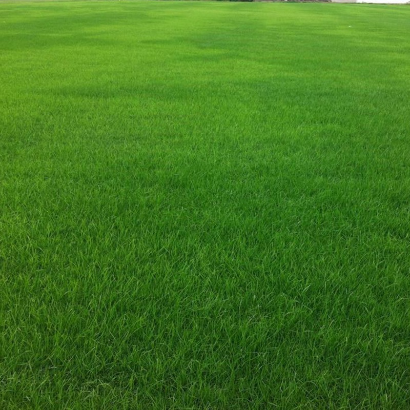 1631020109676421.jpg 0da7b2daae791ee687dab5a5e1f63de9_67726961473b23c5514149541aae8d38.jpg