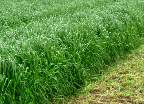 1631061817871260.jpg image.jpg