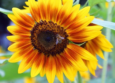 1631065286408407.jpg image.jpg