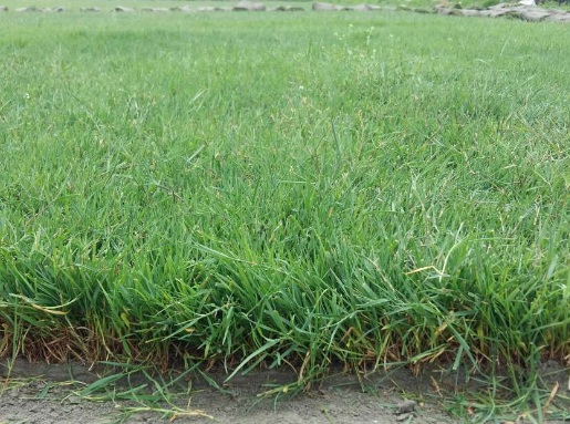 1631068263852610.jpg image.jpg