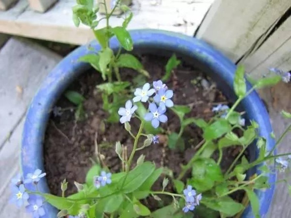 1631070829372886.jpg 1631070829372886.jpg