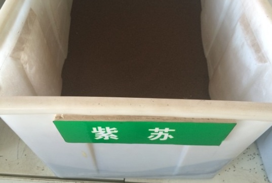 1631081636126579.jpg image.jpg