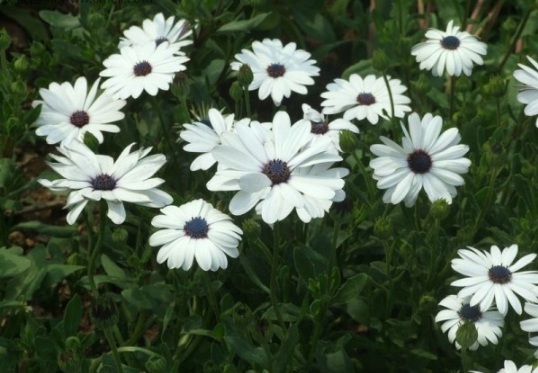 1631082075504802.jpg image.jpg