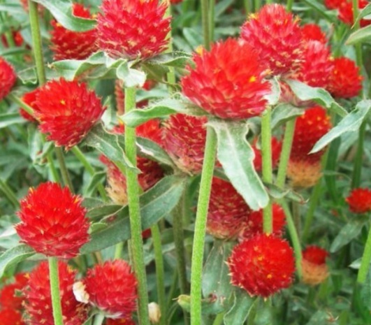 1631082946853384.jpg image.jpg