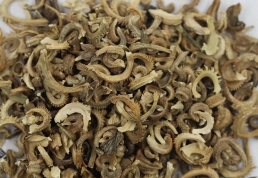 1631083560911701.jpg image.jpg