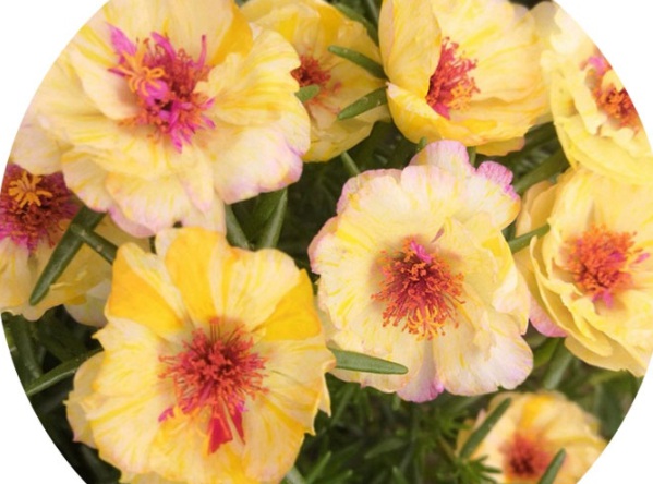 1631084856208269.jpg image.jpg