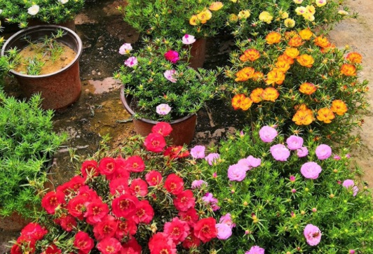 1631087629976395.jpg image.jpg