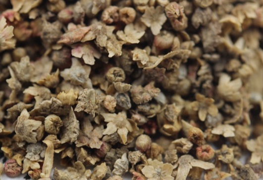 1631088063217873.jpg image.jpg