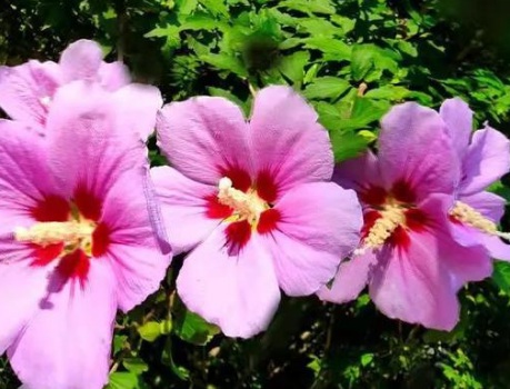 1631112524124587.jpg image.jpg