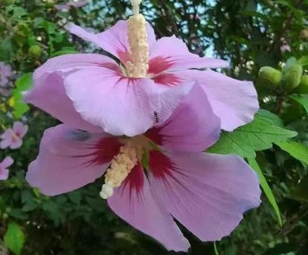 1631112554125697.jpg 1631112554125697.jpg