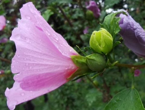 1631112564884337.jpg 1631112564884337.jpg