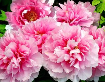 1631113634937864.jpg 1631113634937864.jpg