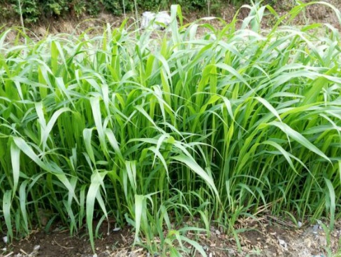 1631114678293909.jpg 1631114678293909.jpg