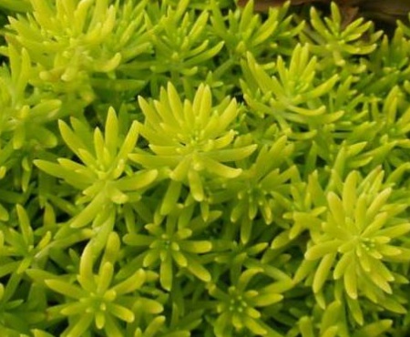 1631114974196608.jpg 1631114974196608.jpg