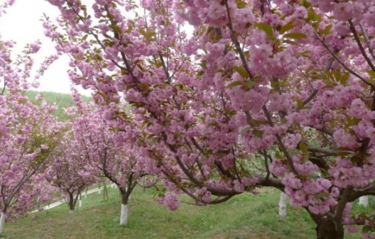 1631160612187923.jpg image.jpg