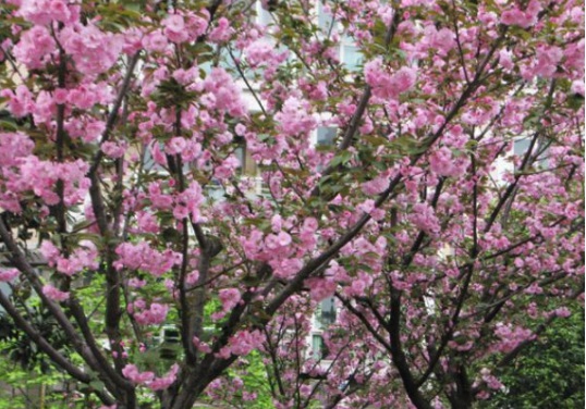 1631160633994277.jpg image.jpg