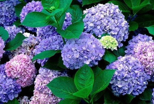 1631161247611357.jpg image.jpg