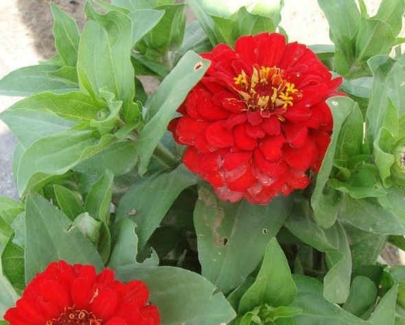 1631163614410702.jpg 1631163614410702.jpg