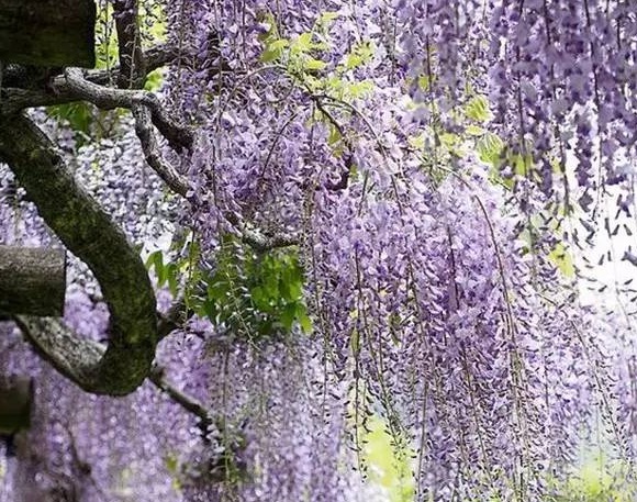 1631169091664600.jpg 1631169091664600.jpg