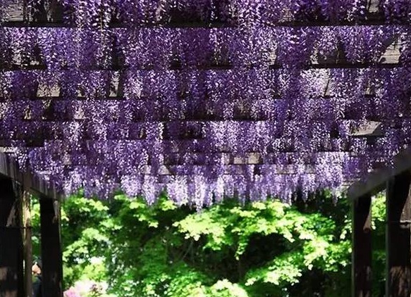 1631169092996926.jpg 1631169092996926.jpg