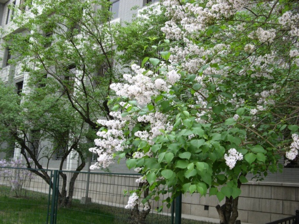 1631172313317379.jpg 1631172313317379.jpg