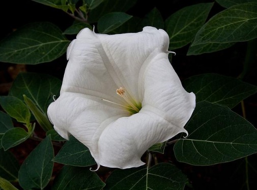 1631174819187817.jpg 1631174819187817.jpg